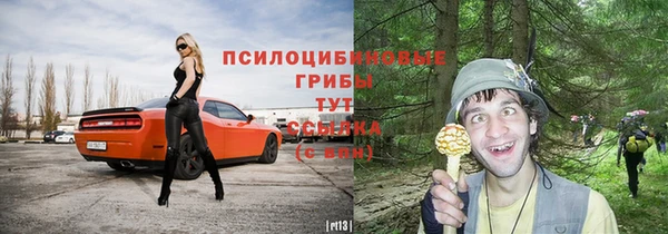 прущая мука Баксан