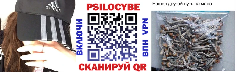 Псилоцибиновые грибы Psilocybine cubensis  дарк нет формула  Верхняя Пышма 